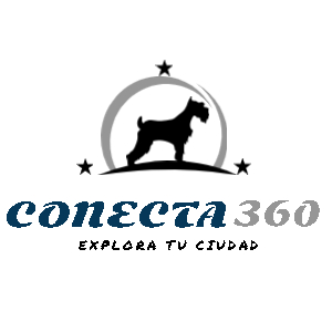 conecta360